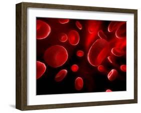 Red Blood Cells, Artwork-SCIEPRO-Framed Photographic Print