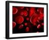 Red Blood Cells, Artwork-SCIEPRO-Framed Photographic Print