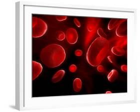 Red Blood Cells, Artwork-SCIEPRO-Framed Photographic Print