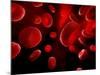 Red Blood Cells, Artwork-SCIEPRO-Mounted Photographic Print