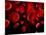 Red Blood Cells, Artwork-SCIEPRO-Mounted Photographic Print