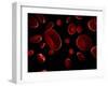 Red Blood Cells, Artwork-SCIEPRO-Framed Photographic Print