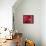 Red Blood Cells-David Mack-Framed Stretched Canvas displayed on a wall