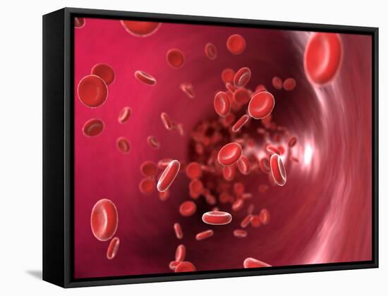 Red Blood Cells-David Mack-Framed Stretched Canvas