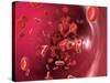 Red Blood Cells-David Mack-Stretched Canvas