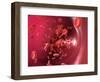 Red Blood Cells-David Mack-Framed Premium Photographic Print