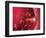 Red Blood Cells-David Mack-Framed Premium Photographic Print