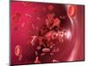 Red Blood Cells-David Mack-Mounted Premium Photographic Print