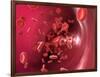 Red Blood Cells-David Mack-Framed Photographic Print