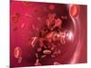 Red Blood Cells-David Mack-Mounted Photographic Print