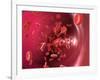 Red Blood Cells-David Mack-Framed Photographic Print