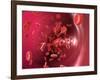 Red Blood Cells-David Mack-Framed Photographic Print