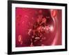 Red Blood Cells-David Mack-Framed Photographic Print