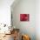 Red Blood Cells-David Mack-Photographic Print displayed on a wall