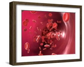 Red Blood Cells-David Mack-Framed Photographic Print