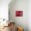 Red Blood Cells-David Mack-Mounted Photographic Print displayed on a wall