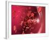 Red Blood Cells-David Mack-Framed Photographic Print