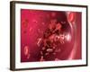 Red Blood Cells-David Mack-Framed Photographic Print
