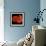 Red Blood Cells-null-Framed Photographic Print displayed on a wall