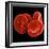 Red Blood Cells-null-Framed Photographic Print