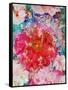 Red Blooming Rose Blossom with Cherry Blossoms Ornaments from Spring Trees-Alaya Gadeh-Framed Stretched Canvas