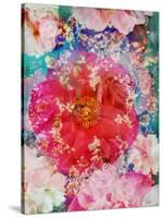 Red Blooming Rose Blossom with Cherry Blossoms Ornaments from Spring Trees-Alaya Gadeh-Stretched Canvas