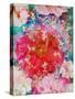 Red Blooming Rose Blossom with Cherry Blossoms Ornaments from Spring Trees-Alaya Gadeh-Stretched Canvas