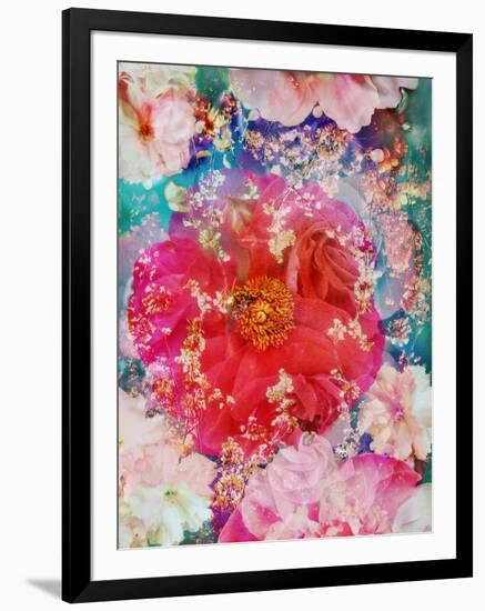 Red Blooming Rose Blossom with Cherry Blossoms Ornaments from Spring Trees-Alaya Gadeh-Framed Photographic Print