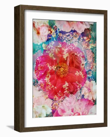 Red Blooming Rose Blossom with Cherry Blossoms Ornaments from Spring Trees-Alaya Gadeh-Framed Photographic Print