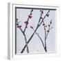 Red Blooms-Herb Dickinson-Framed Photographic Print