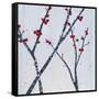 Red Blooms-Herb Dickinson-Framed Stretched Canvas