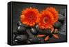 Red Blossoms on Black Stones-Uwe Merkel-Framed Stretched Canvas