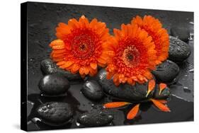 Red Blossoms on Black Stones-Uwe Merkel-Stretched Canvas