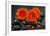 Red Blossoms on Black Stones-Uwe Merkel-Framed Premium Photographic Print