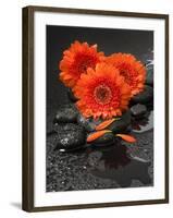 Red Blossoms on Black Stones-Uwe Merkel-Framed Photographic Print