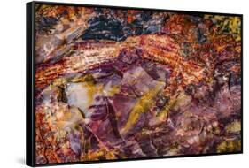 Red, blue, orange petrified wood, Visitor Center, Petrified Forest National Park, Arizona-William Perry-Framed Stretched Canvas