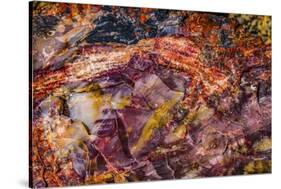 Red, blue, orange petrified wood, Visitor Center, Petrified Forest National Park, Arizona-William Perry-Stretched Canvas