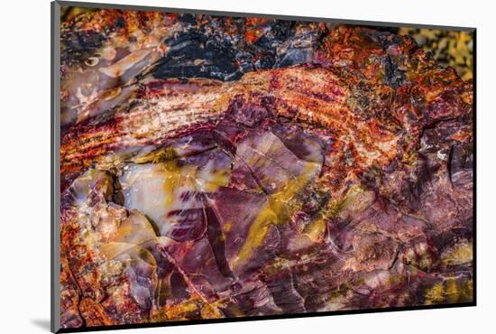 Red, blue, orange petrified wood, Visitor Center, Petrified Forest National Park, Arizona-William Perry-Mounted Photographic Print