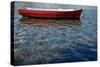 Red Boat-Lynda White-Stretched Canvas