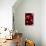 Red Bokeh-Erin Berzel-Stretched Canvas displayed on a wall