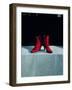 Red Boots, 1995-Lincoln Seligman-Framed Giclee Print