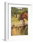 Red Border Collie Dog and Horse-Ksuksa-Framed Photographic Print