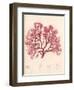 Red Botanical Study I-Kimberly Poloson-Framed Art Print