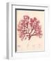 Red Botanical Study I-Kimberly Poloson-Framed Art Print