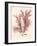 Red Botanical Study IV-Kimberly Poloson-Framed Premium Giclee Print