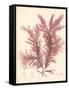 Red Botanical Study IV-Kimberly Poloson-Framed Stretched Canvas