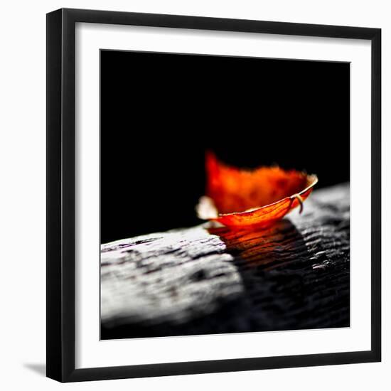 Red Bowl-Ursula Abresch-Framed Photographic Print