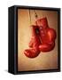 Red Boxing Gloves-null-Framed Stretched Canvas
