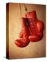 Red Boxing Gloves-null-Stretched Canvas