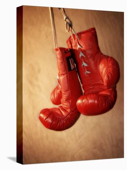 Red Boxing Gloves-null-Stretched Canvas